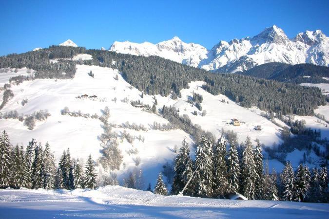Ferienwohnung Klappacher Maria Alm am Steinernen Meer Exterior foto