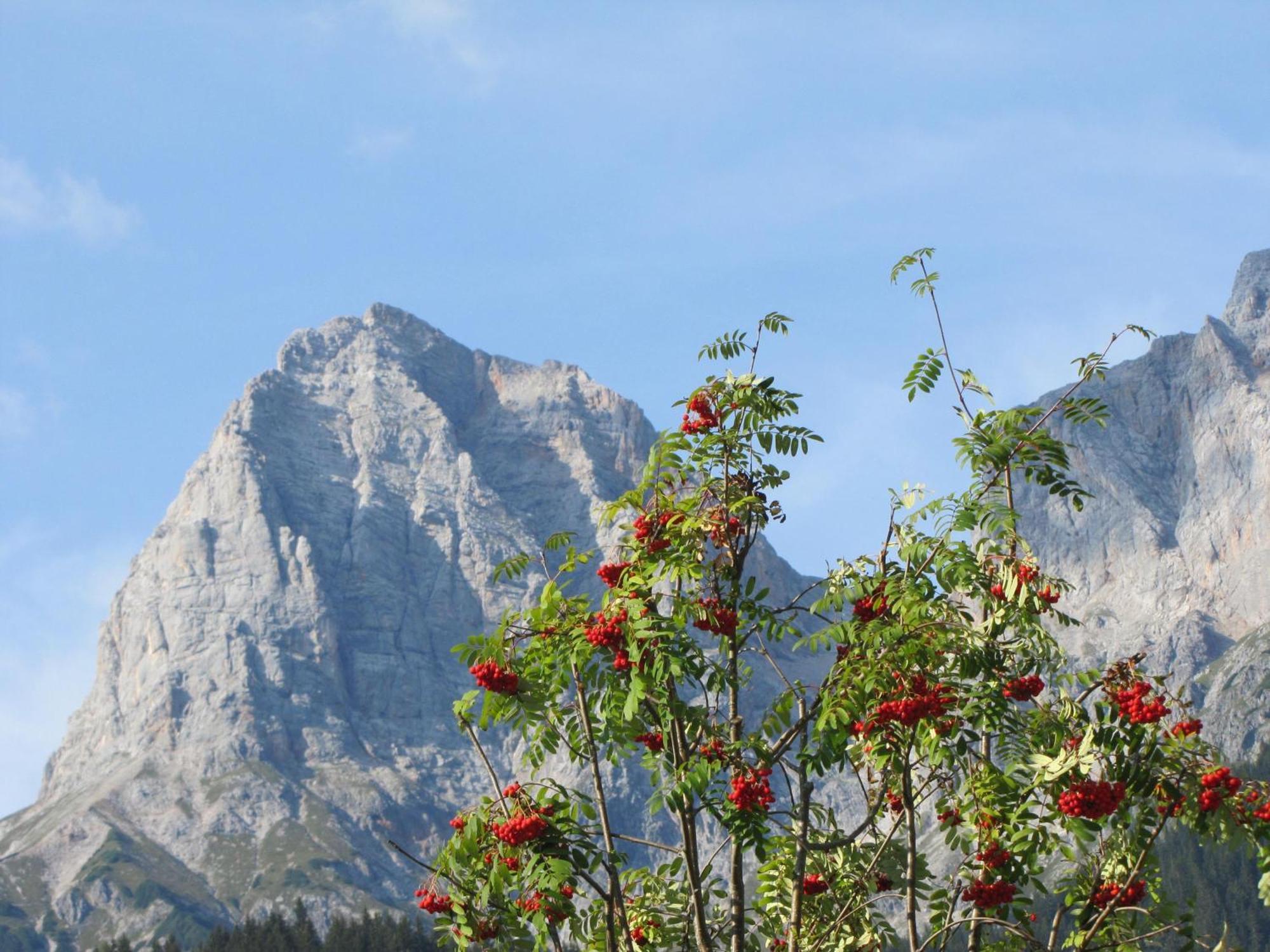 Ferienwohnung Klappacher Maria Alm am Steinernen Meer Exterior foto